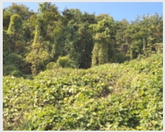  2021Ÿ��7180 �泲 â���� ��â�� �ϸ� ���̸� ��56     ����(�Ӿ�)���