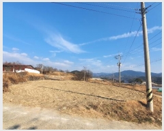  2021Ÿ37887 泲 û ݼ Ư 1163      (Ӿ)