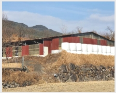  2021Ÿ37887 泲 û ݼ Ư 1163      (Ӿ)