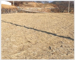  2021Ÿ37887 泲 û ݼ Ư 1163      (Ӿ)