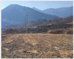  2021Ÿ37887 泲 û ݼ Ư 1163      (Ӿ)