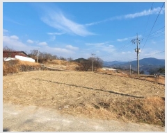  2021Ÿ37887 泲 û ݼ Ư 1163      (Ӿ)