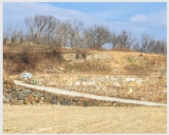  2021Ÿ37887 泲 û ݼ Ư 1163      (Ӿ)