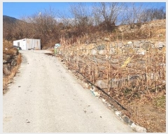  2021Ÿ37887 泲 û ݼ Ư 1163      (Ӿ)