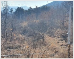  2021Ÿ37887 泲 û ݼ Ư 1163      (Ӿ)