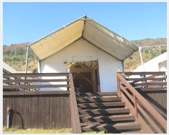  2021Ÿ6640 泲   334-2       ð