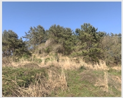  2021Ÿ��1799 �泲 ������ ���� âȣ�� ��98-3      ����(�Ӿ�)���