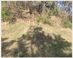  2021Ÿ��1799 �泲 ������ ���� âȣ�� ��98-3      ����(�Ӿ�)���