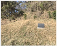  2021Ÿ��1799 �泲 ������ ���� âȣ�� ��98-3      ����(�Ӿ�)���