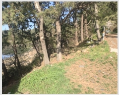  2021Ÿ��1799 �泲 ������ ���� âȣ�� ��98-3      ����(�Ӿ�)���