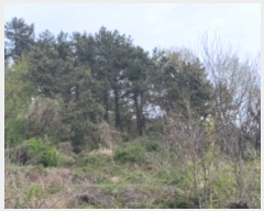  2021Ÿ��1799 �泲 ������ ���� âȣ�� ��98-3      ����(�Ӿ�)���