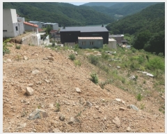  2021Ÿ3689 泲   44-20       (Ӿ)