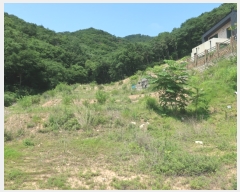  2021Ÿ3689 泲   44-20       (Ӿ)