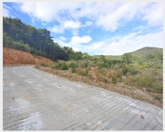  2021Ÿ27258 泲  Ͽ ġ 247-42      (1)