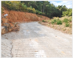  2021Ÿ27258 泲  Ͽ ġ 247-42      (1)