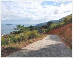  2021Ÿ27258 泲  Ͽ ġ 247-42      (1)