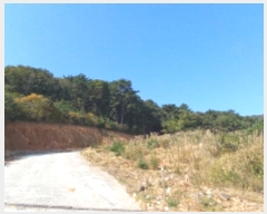  2021Ÿ27258 泲  Ͽ ġ 247-42      (1)