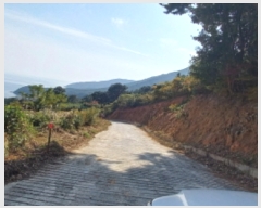  2021Ÿ27258 泲  Ͽ ġ 247-42      (1)