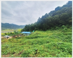  2021Ÿ��11501 �泲 ��õ�� ����� ������ 2      ����(��1)���