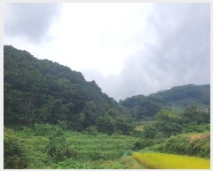  2021Ÿ��11501 �泲 ��õ�� ����� ������ 2      ����(��1)���