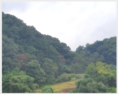  2021Ÿ��11501 �泲 ��õ�� ����� ������ 2      ����(��1)���