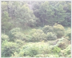  2021Ÿ��11501 �泲 ��õ�� ����� ������ 2      ����(��1)���