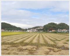  2021Ÿ��3553 �泲 �Ծȱ� ������ �꼭�� 835      ����(��)���