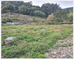  2021Ÿ��105008  �����