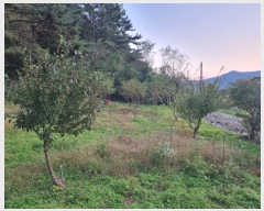  2021Ÿ��105008  �����