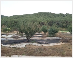  2021Ÿ��105008  �����