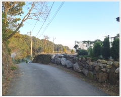  2021Ÿ��105008  �����