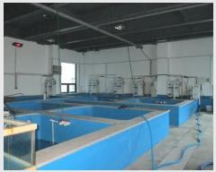  2021Ÿ��37166 ���� ������ �鱸�� ������ 2564 (��1��)     ������