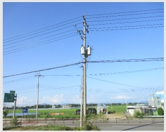  2021Ÿ��37166 ���� ������ �鱸�� ������ 2564 (��1��)     ������