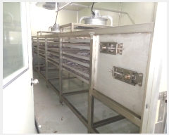  2021Ÿ��4814 ���� ������ ���� �ΰŸ� 1583-13      ������