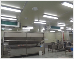  2021Ÿ��4814 ���� ������ ���� �ΰŸ� 1583-13      ������