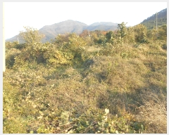  2021Ÿ��2500 ���� �ξȱ� ����� ���׸� 17      ����(��1)���