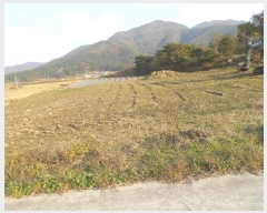  2021Ÿ��2500 ���� �ξȱ� ����� ���׸� 17      ����(��1)���