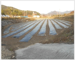  2021Ÿ��2500 ���� �ξȱ� ����� ���׸� 17      ����(��1)���