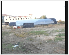  2021Ÿ��2500 ���� �ξȱ� ����� ���׸� 17      ����(��1)���