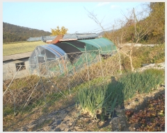  2021Ÿ��2500 ���� �ξȱ� ����� ���׸� 17      ����(��1)���