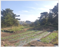  2021Ÿ7803  ֽ õ ̸ 2558      (1)