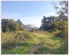  2021Ÿ7803  ֽ õ ̸ 2558      (1)