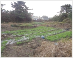  2021Ÿ7803  ֽ õ ̸ 2558      (1)