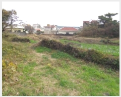  2021Ÿ7803  ֽ õ ̸ 2558      (1)