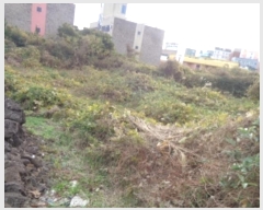  2021Ÿ7803  ֽ õ ̸ 2558      (1)