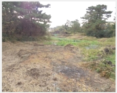  2021Ÿ7803  ֽ õ ̸ 2558      (1)