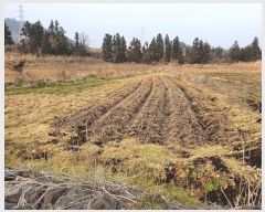  2021Ÿ��8882 ���� �������� �ȴ��� ��õ�� 615-22      ����(�Ӿ�)���