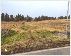  2021Ÿ��8882 ���� �������� �ȴ��� ��õ�� 615-22      ����(�Ӿ�)���