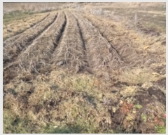  2021Ÿ��8882 ���� �������� �ȴ��� ��õ�� 615-22      ����(�Ӿ�)���