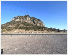  2021Ÿ��3863 ���� �������� �ȴ��� ��踮 451      ����(�Ӿ�)���